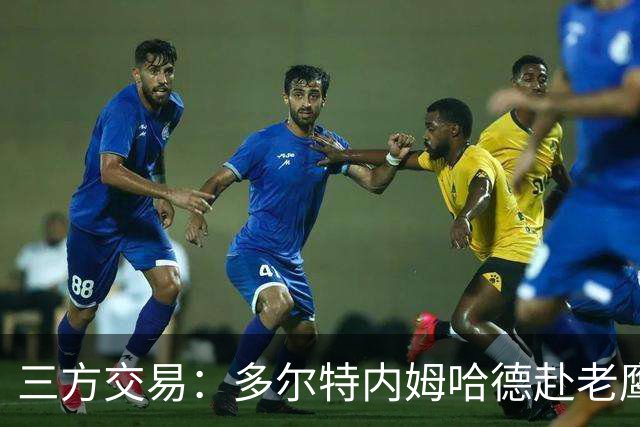 三方交易：多尔特内姆哈德赴老鹰 雷霆获3次轮签 独行侠获里萨谢