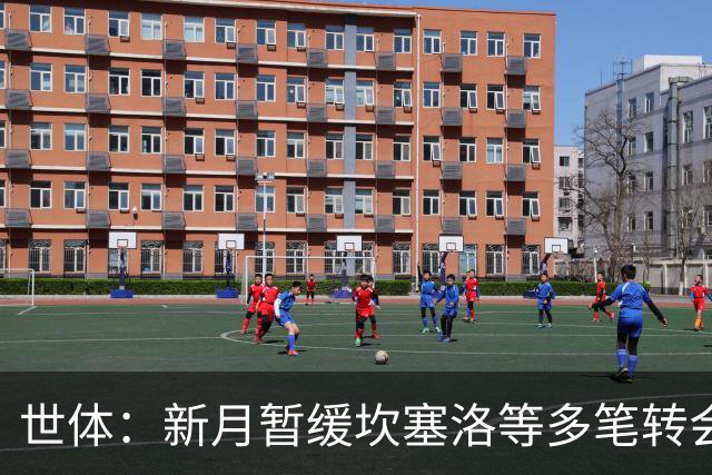 世体：新月暂缓坎塞洛等多笔转会；卡萨多愿离开巴萨但更想去胜利