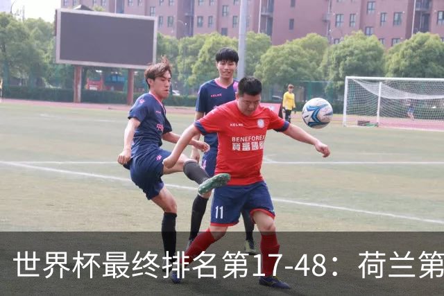 世界杯最终排名第17-48：荷兰第17德国第18 日本第21