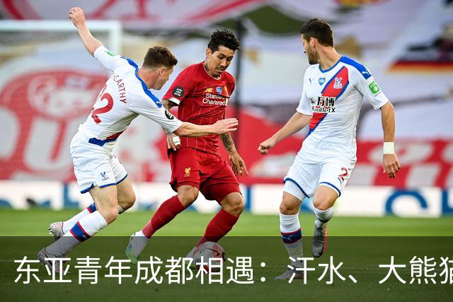 东亚青年成都相遇：汗水、大熊猫与友谊