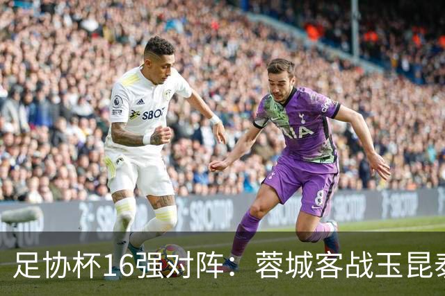 足协杯16强对阵：蓉城客战玉昆泰山战三镇 国安遭遇中乙队